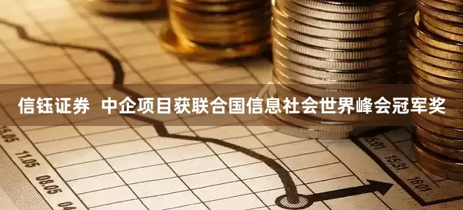 信钰证券  中企项目获联合国信息社会世界峰会冠军奖