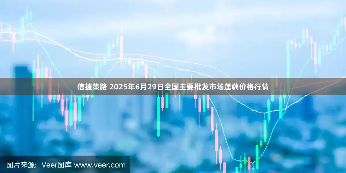 信捷策路 2025年6月29日全国主要批发市场莲藕价格行情