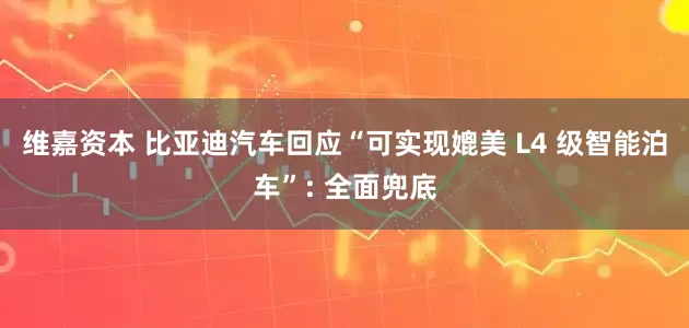 维嘉资本 比亚迪汽车回应“可实现媲美 L4 级智能泊车”: 全面兜底