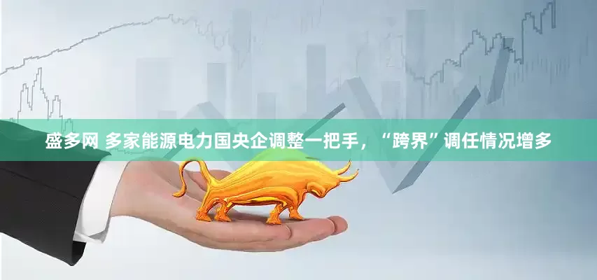 盛多网 多家能源电力国央企调整一把手，“跨界”调任情况增多