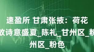 速盈所 甘肃张掖：荷花竞放诗意盛夏_陈礼_甘州区_粉色