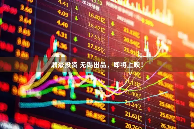 鼎豪投资 无锡出品，即将上映！
