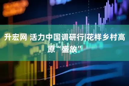 升宏网 活力中国调研行|花样乡村高原“盛放”